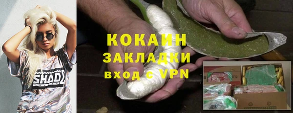 винт Абаза