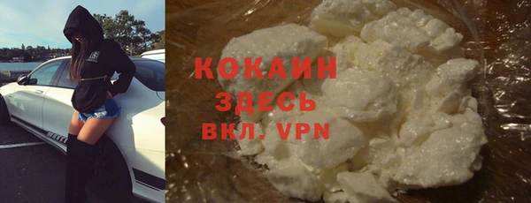 винт Абаза