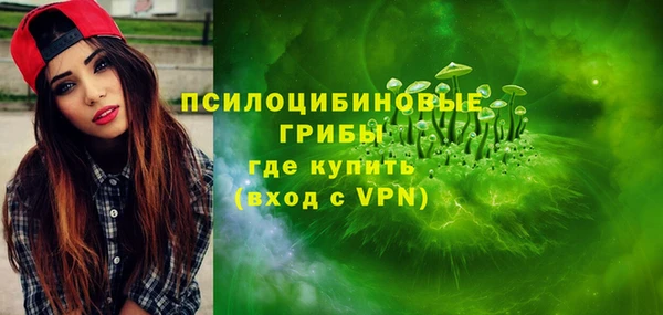 винт Абаза