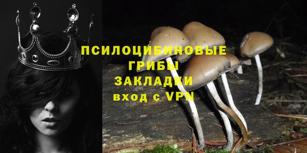 стафф Абинск