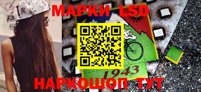 сатива Шебекино