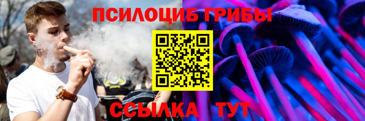 Истра  Галлюциногенные грибы Magic Shrooms  Вход с VPN 