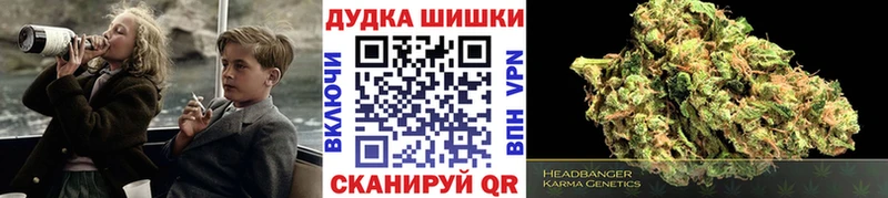 где можно купить наркотик  Истра  Марихуана индика 